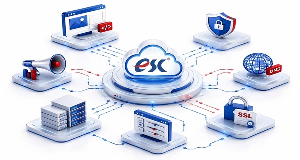 Thiết kế web, Tư vấn Google, Truyền thông doanh nghiệp, An ninh mạng, SPLA, Plesk Panel, DirectAdmin, Kaspersky, Symantec, Microsoft