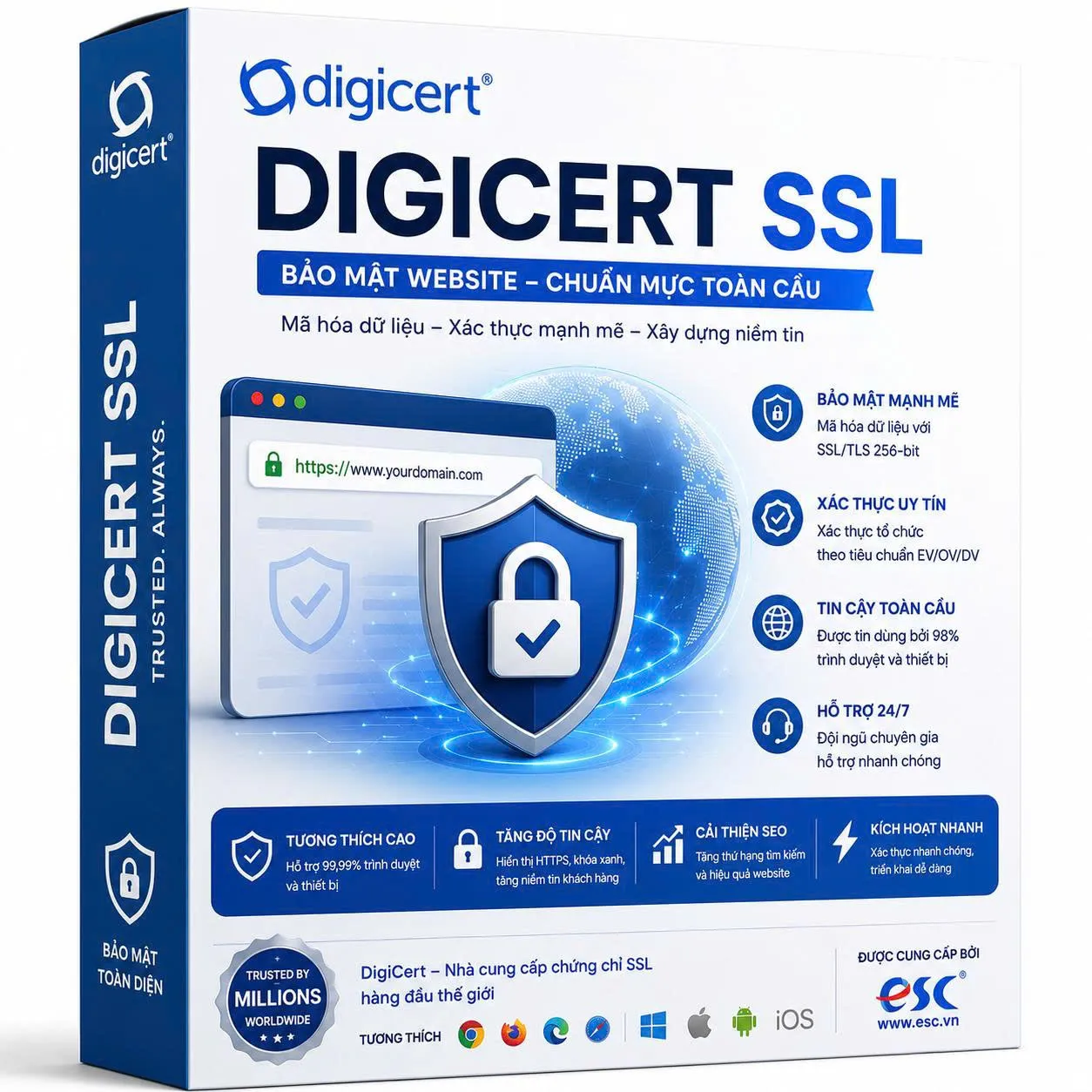 Digicert Basic OV SSL Wildcard