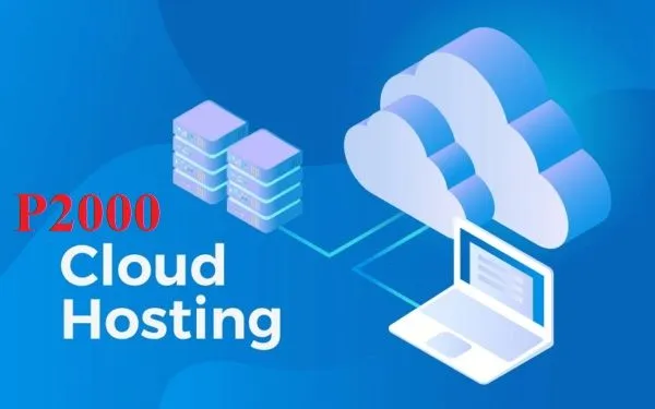 PRO HOSTING (P2000)