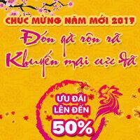 khuyen-mai-tet-2017-esc