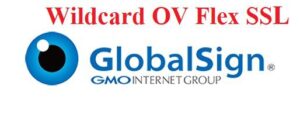 GlobalSign OV Wildcard SSL