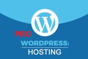 WordPress Pro
