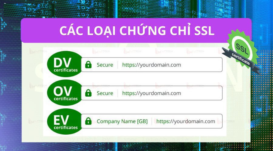 CÁC LOẠI CHỨNG CHỈ SSL MÀ ESC CUNG CẤP