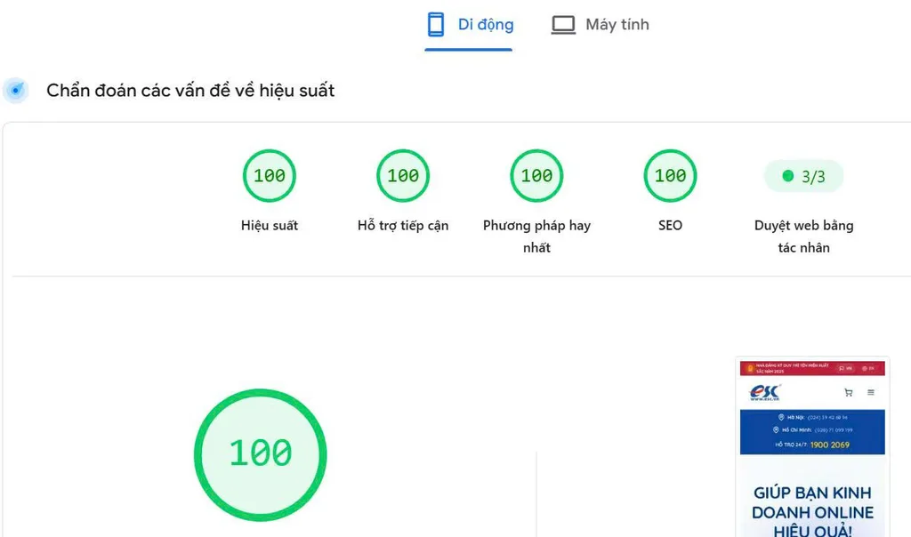 ESC.vn đạt 100 điểm SEO