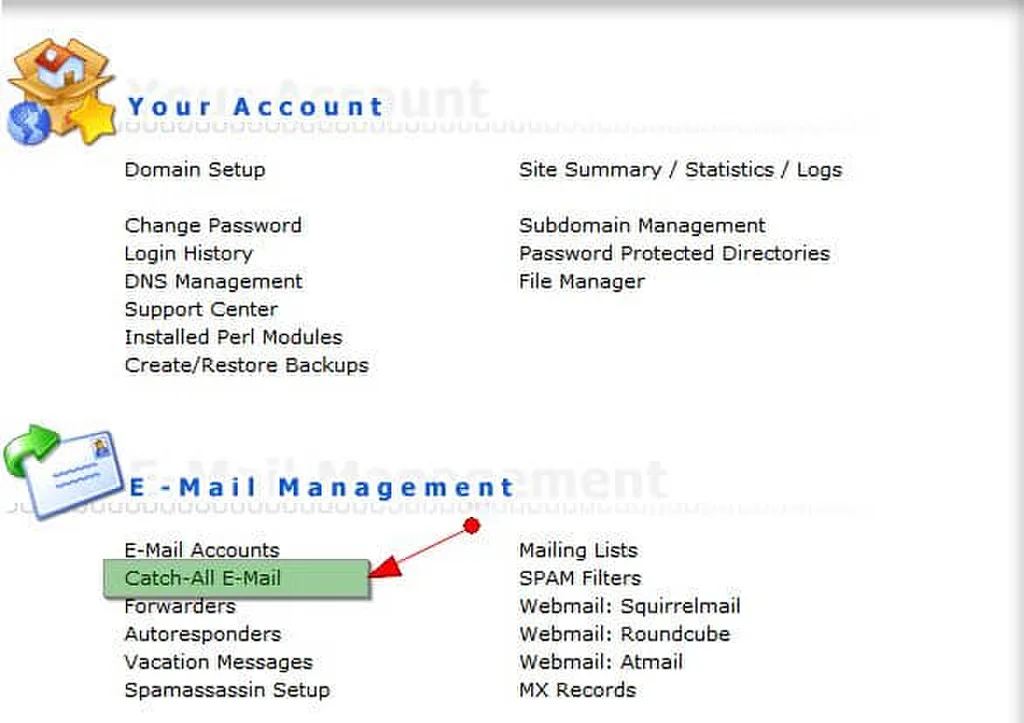 Mục Catch-All E-mail trên DirectAdmin