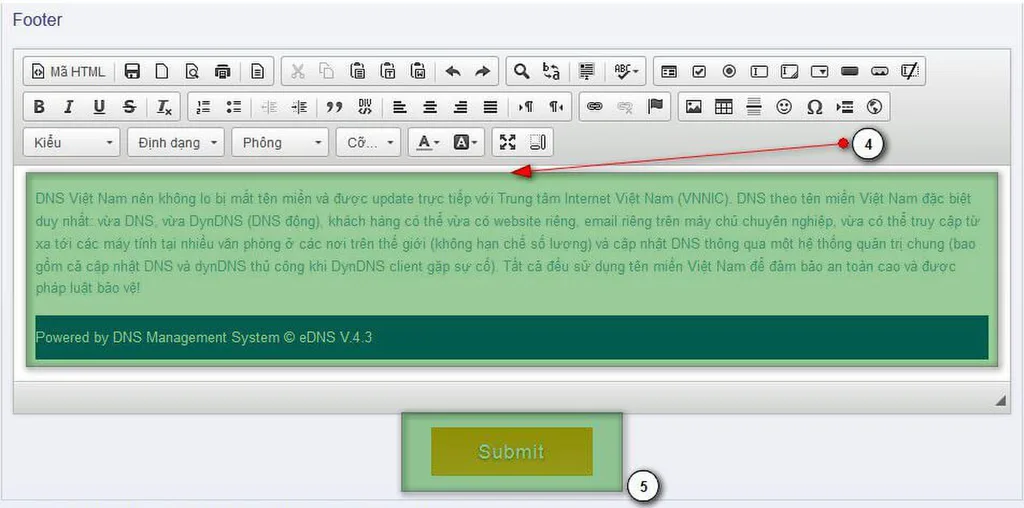 Giao diện nhập thông tin trang DNS riêng - Phần 3