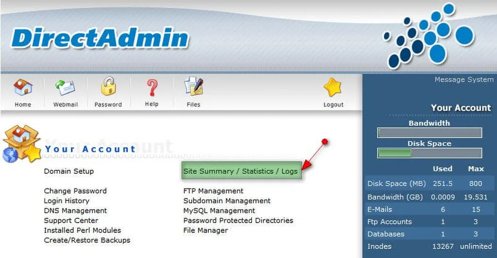 Mục Site Summary Statistics Logs trên DirectAdmin